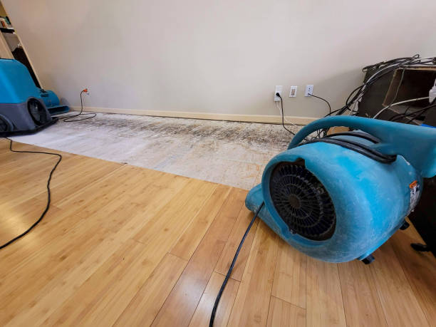 Professional Water Damage Repair technician working in Huntington Beach, CA